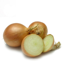 Top Quality Fresh Big Size 8-10cm&up Red Onion